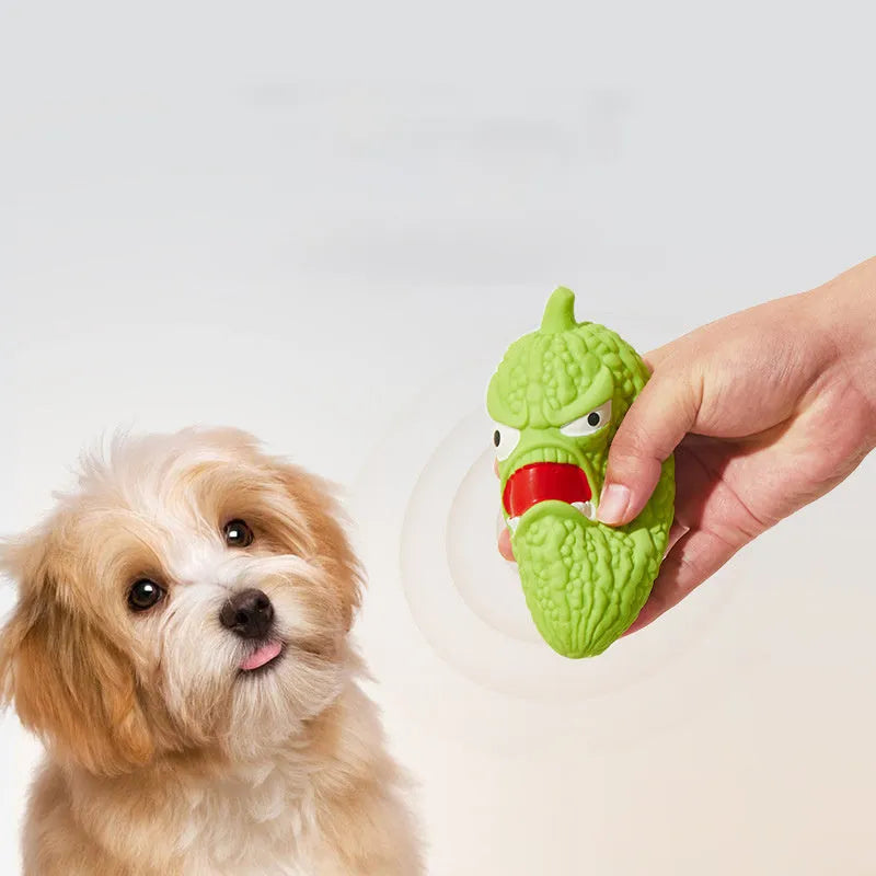 Natural rubber dog chew toy in bitter gourd or chilli shape for grinding teeth.