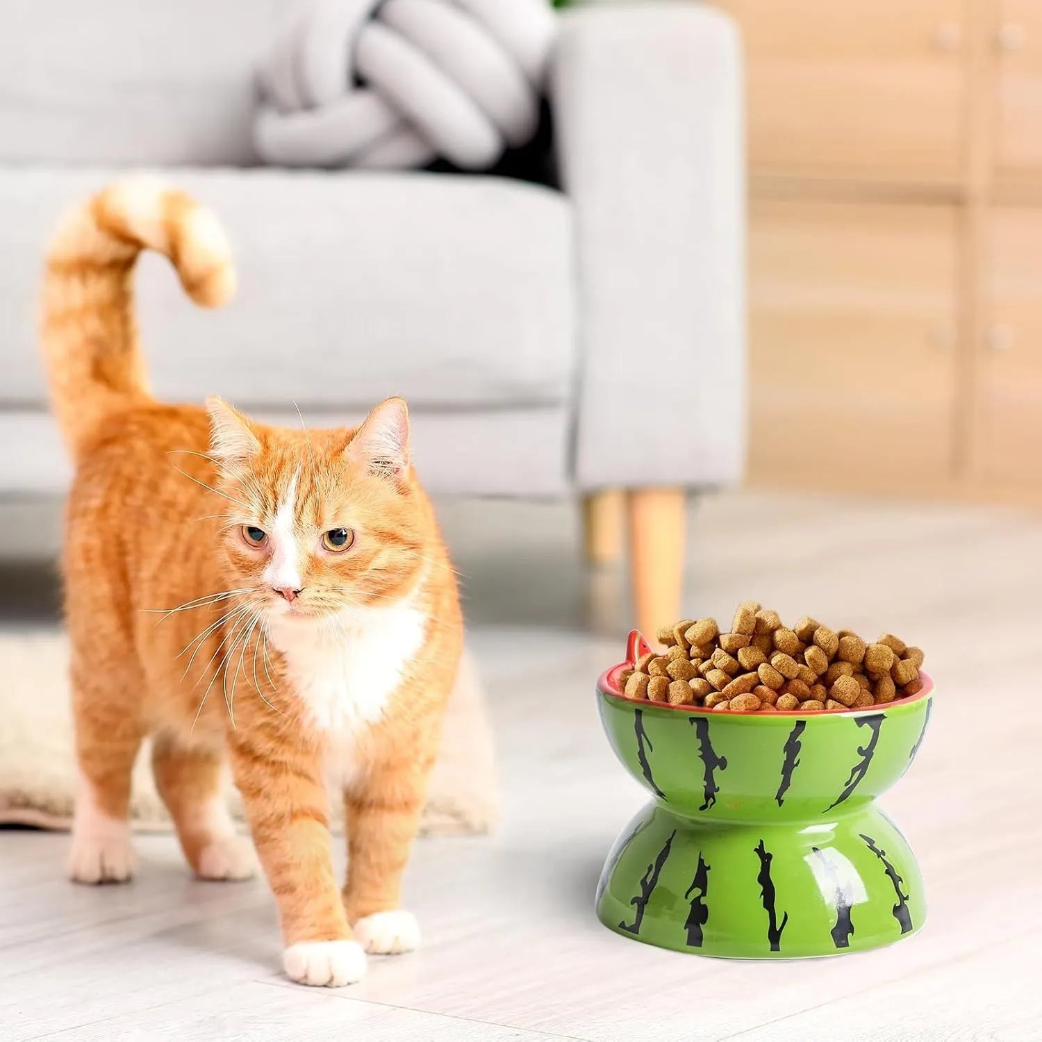 Ceramic raised cat bowl with tilted design and colourful fruit pattern