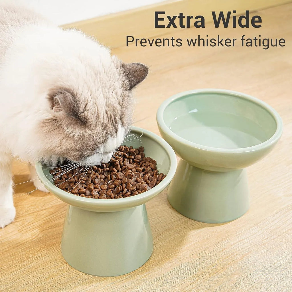 Wide shallow blue elevated ceramic bowl for cat food and water on a floor