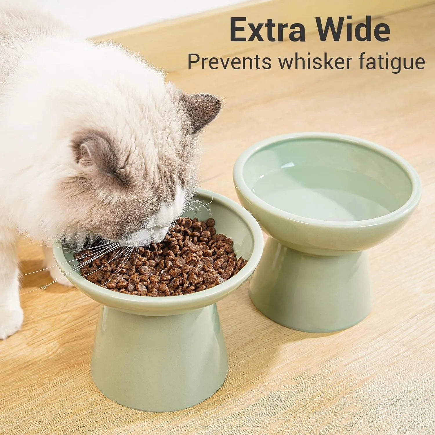 Wide shallow blue elevated ceramic bowl for cat food and water on a floor
