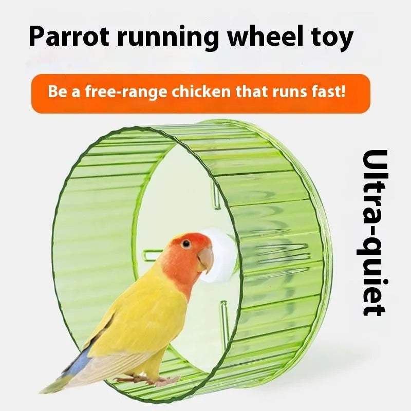 Plastic bird running wheel toy in green, orange, grey, purple or transparent colour, showing 21cm and 17cm diameter options