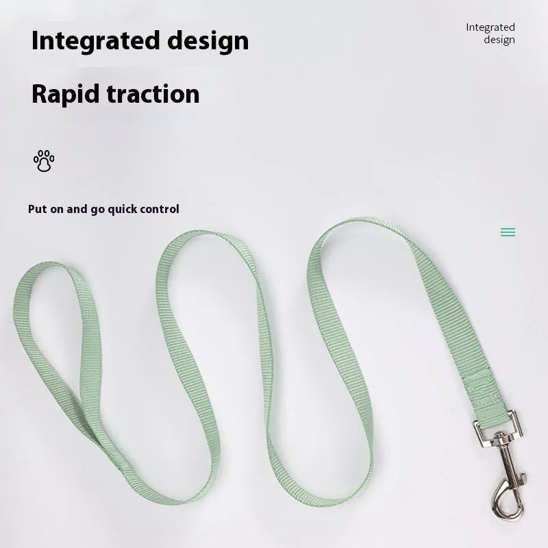 Solid colour polyester dog lead held in a hand, showing one of eleven colour options and its single rope construction.