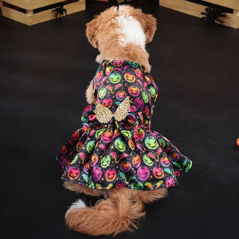 Angel wings Halloween dog costume in bright pumpkin colour on small dog