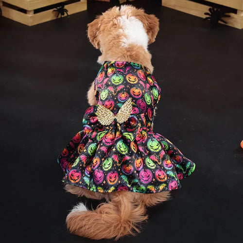 Angel wings Halloween dog costume in bright pumpkin colour on small dog