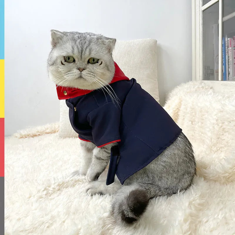 Tiger staff yuren coloured pet hoodie photo prop for cats and dogs on mannequin