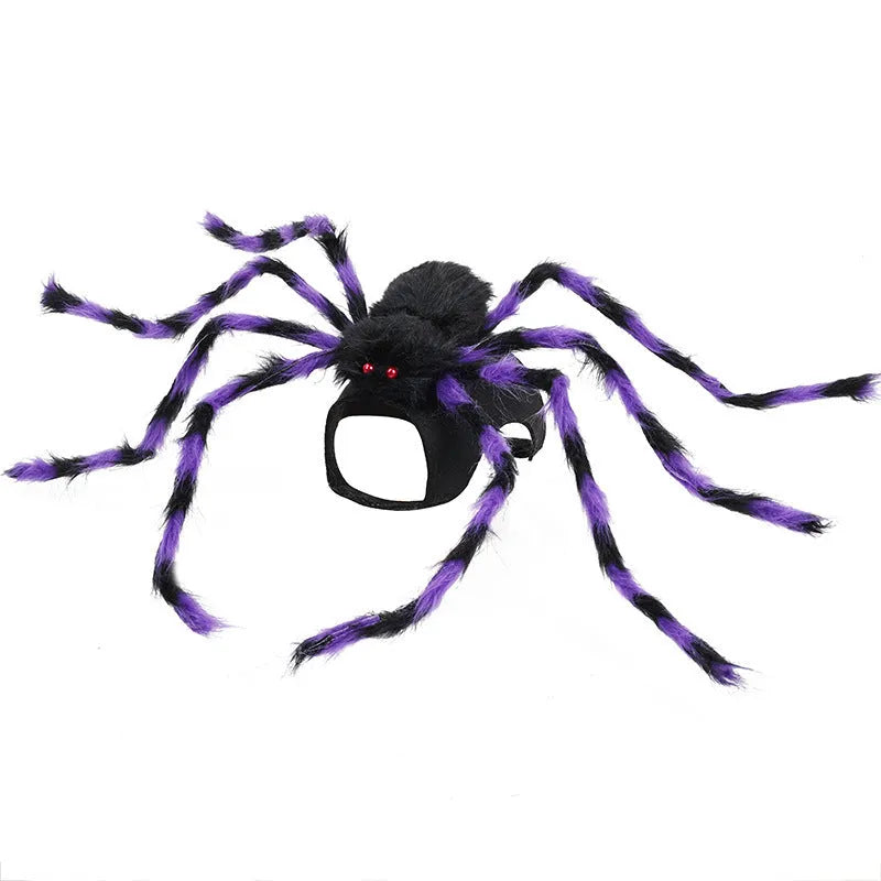 Halloween spider costume for pets in polyester with S, M, L sizing and grey, brown, black, purple colours