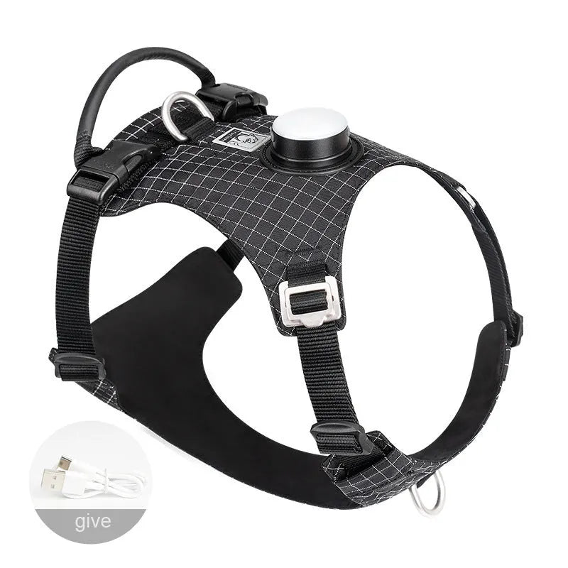 Nylon dog chest harness with LED light in six colour options including light purple and green