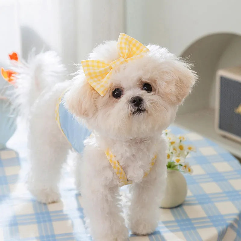 Small dog wearing an elastic heart relief texture bow suspenders vest in Bondi Blue