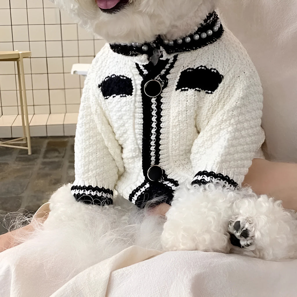 Korean-style white dog sweater with pearl collar on small breed pet