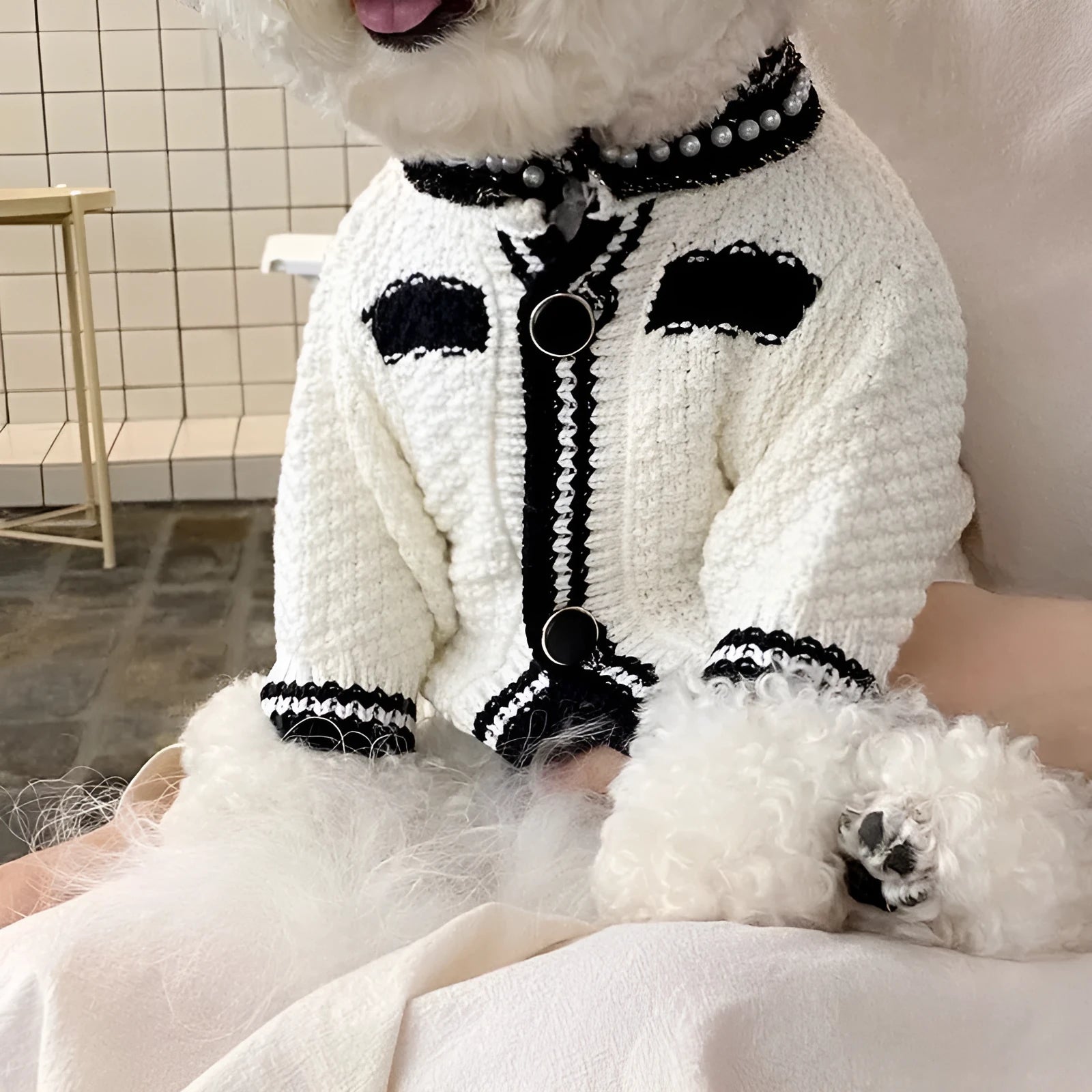 Korean-style white dog sweater with pearl collar on small breed pet