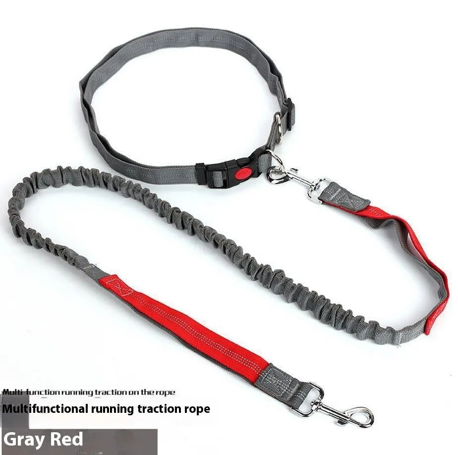 Reflective elastic dog leash in two-tone colours with 2.5cm width nylon sling