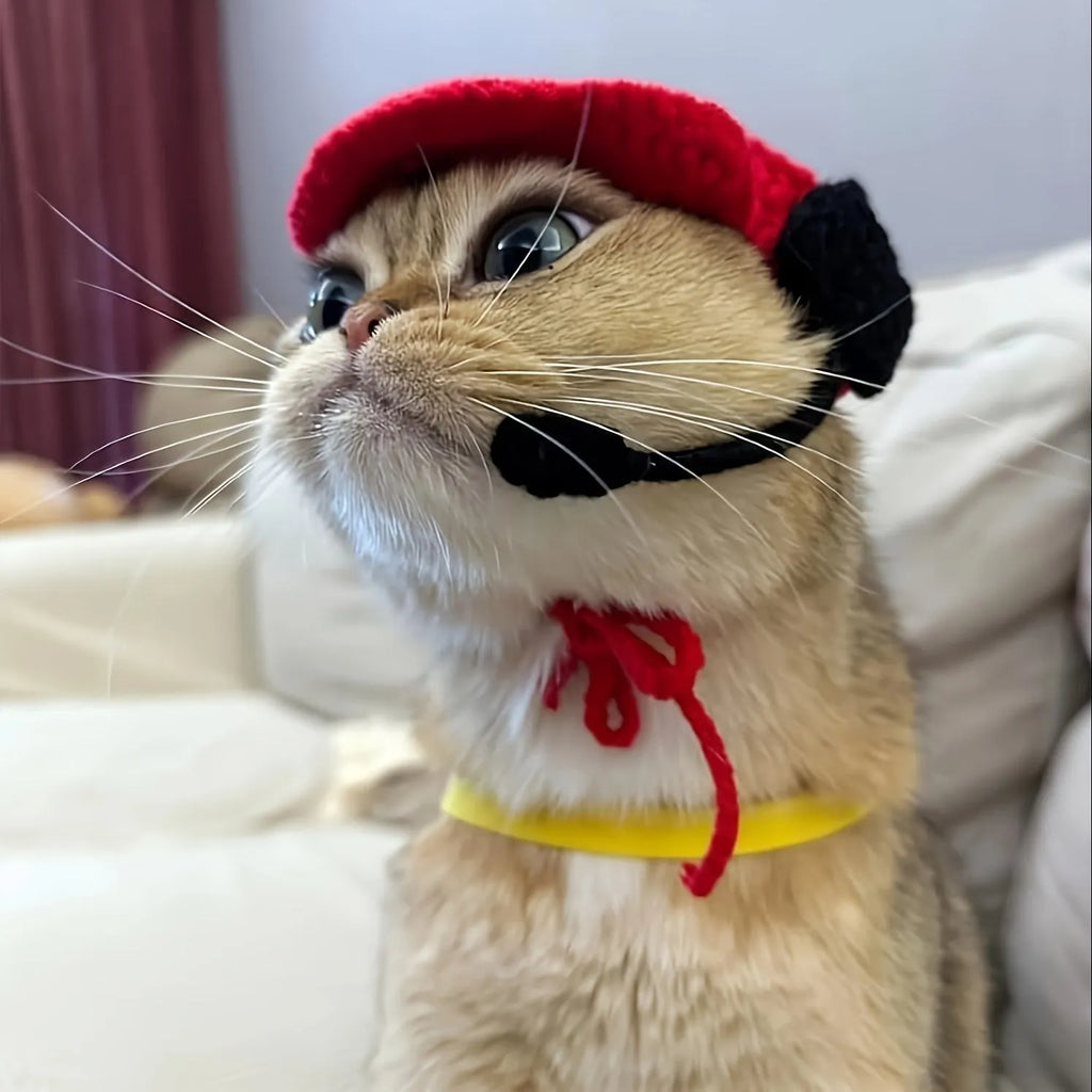 Handmade cotton knitted cat chef hat and matching sweater pet costume set