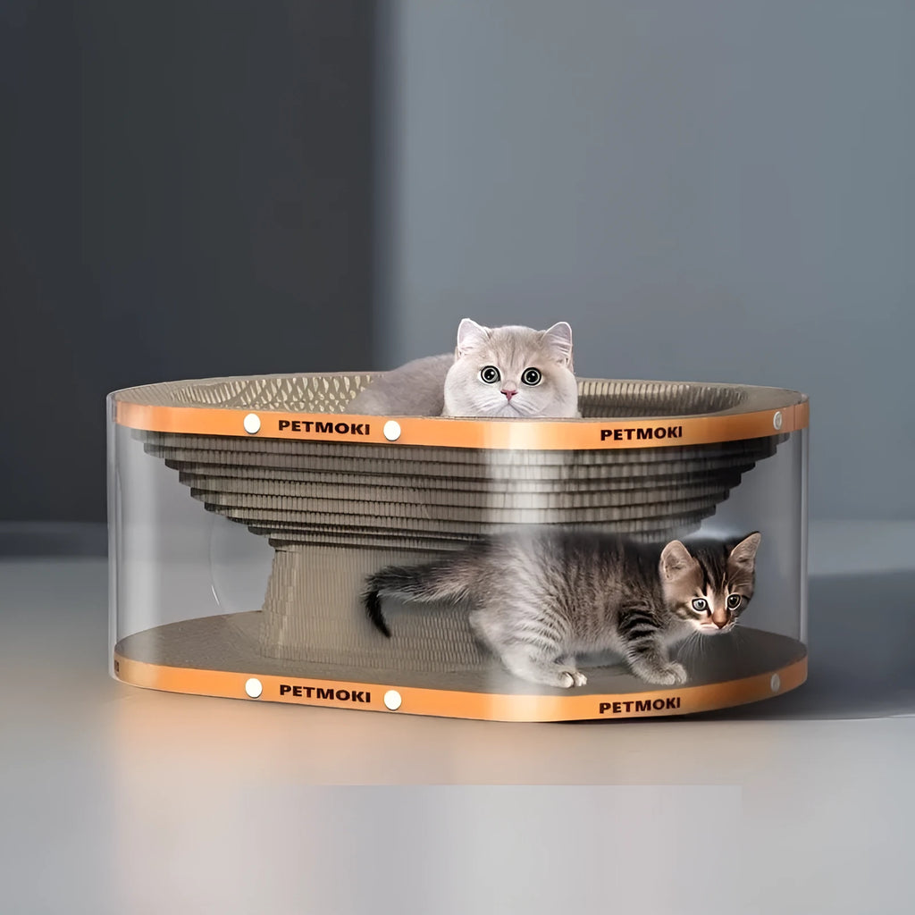 White transparent PVC cat nest tunnel toy with integrated scratch board, measuring 58x45x23cm