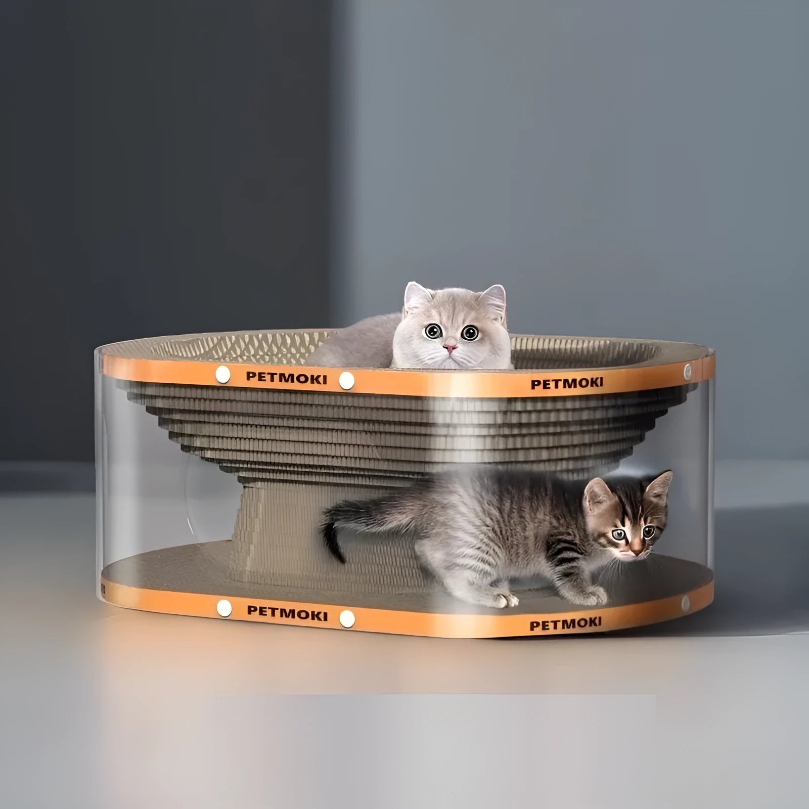 White transparent PVC cat nest tunnel toy with integrated scratch board, measuring 58x45x23cm