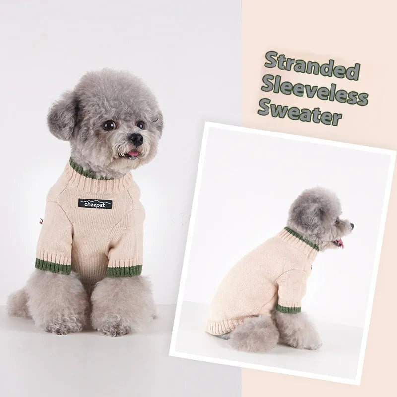 British style wool pet sweater on a small dog, showing the two-leg design in Crown Blue colour.