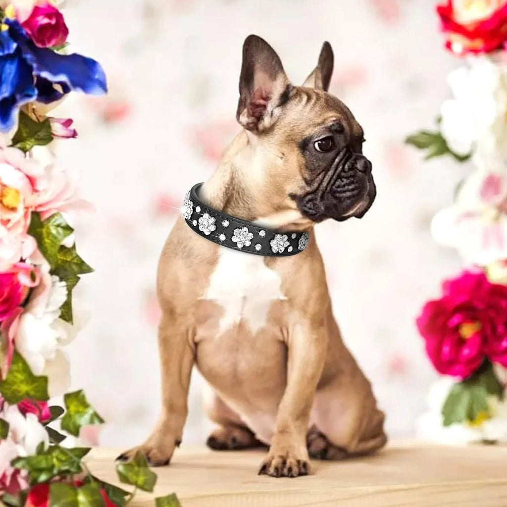 PU leather dog collar with rhinestone flower pattern and metal D-ring on a white background