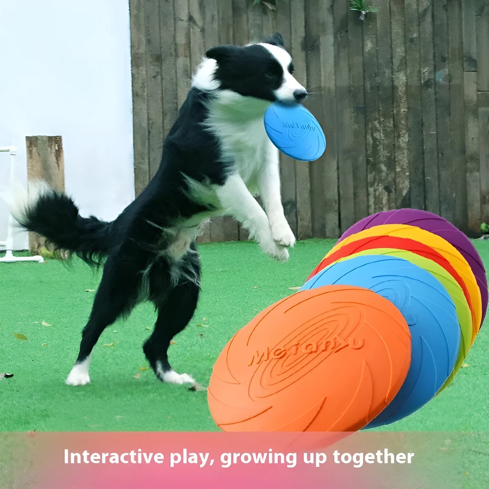 Soft rubber dog frisbee toy in blue, green, or red, shown in small, medium, and large sizes.