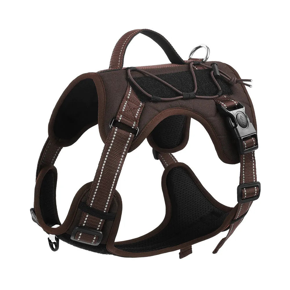 Orange reflective dog harness with explosion-proof hand holding rope on a medium-sized dog.