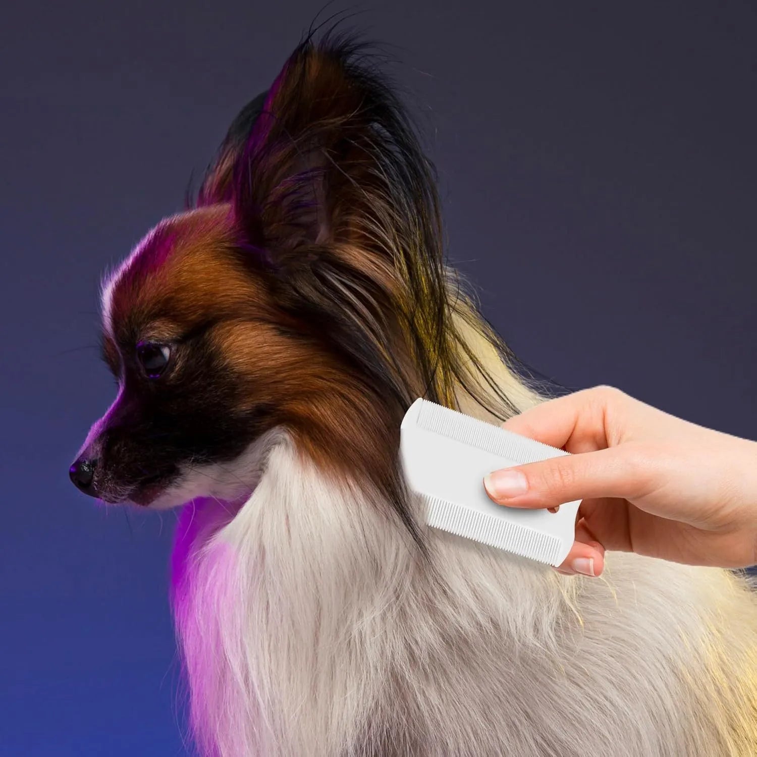 Double-sided plastic flea comb for pets showing dense teeth and 5cm length measurement