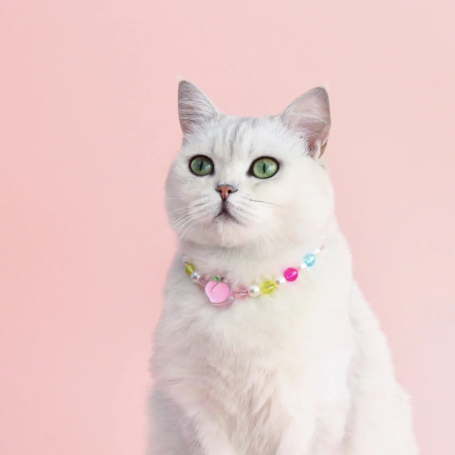 Colourful plastic pearl pet necklace for cats and small dogs in peach, rainbow or flower bead designs