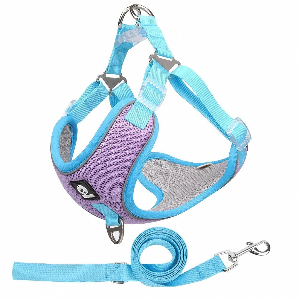 Adjustable reflective dog harness in polyester for small to medium pets, shown in multiple colours.